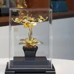 Chậu cây hoa lan mạ vàng 24k - HL05 5