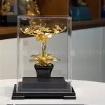 Chậu cây hoa lan mạ vàng 24k - HL05 4