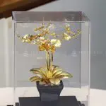 Chậu cây hoa lan mạ vàng 24k - HL05 2
