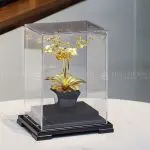 Chậu cây hoa lan mạ vàng 24k - HL05